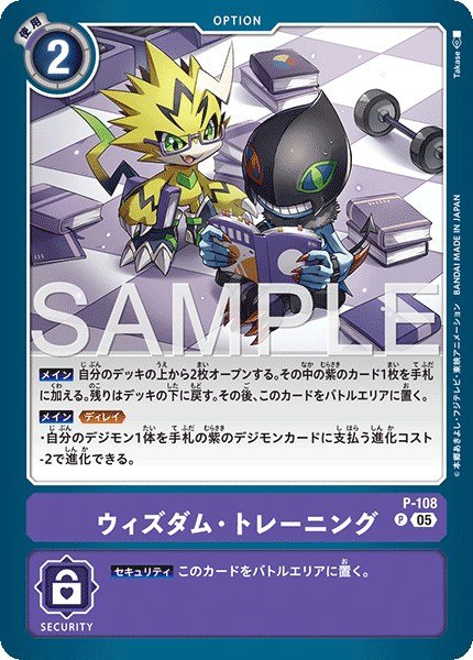 画像1: ウィズダム・トレーニング【P】《紫》 (1)