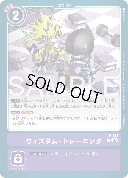 画像1: ［特価品］ウィズダム・トレーニング【P】《紫》 (1)