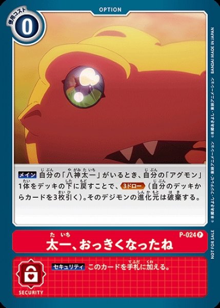 画像1: 太一、おっきくなったね　P-024 P オプション (1)
