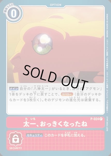 画像1: 太一、おっきくなったね　P-024 P オプション (1)