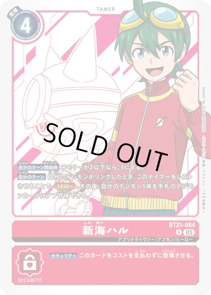 画像1: 新海ハル【Ｒ】《赤》 (1)