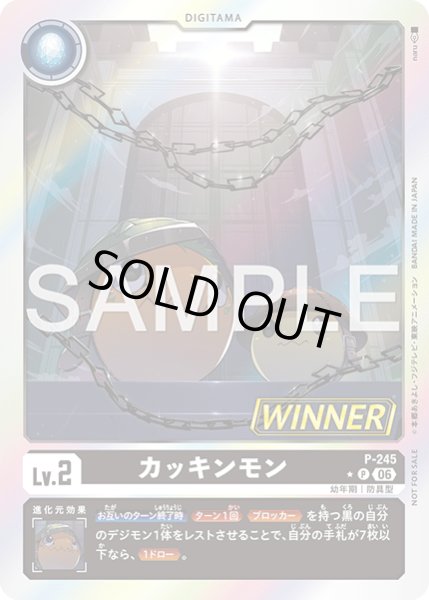 画像1: カッキンモン/WINNER【P】《黒》WINNER版P-245 (1)